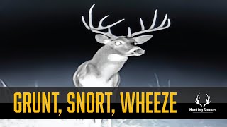 Whitetail Deer Buck Grunt, Snort, & Wheeze {Sound Only} screenshot 5