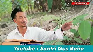 Download Lagu URIP KUI DIGAWE SENENG, OJO SUSAH AEEE - GUS BAHA || Sebuah Renungan MP3