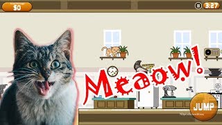 Clumsy Cat Android/iOS Gameplay screenshot 3