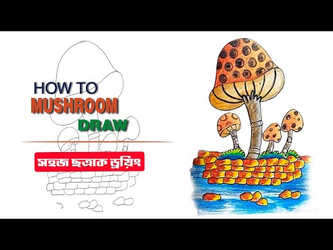 ভিডিও: শিক্ষানবিস মাশরুম বাছাইকারী: চ্যান্টেরেল মাশরুম কত দ্রুত বৃদ্ধি পায়?