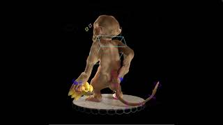 Monkey Rig