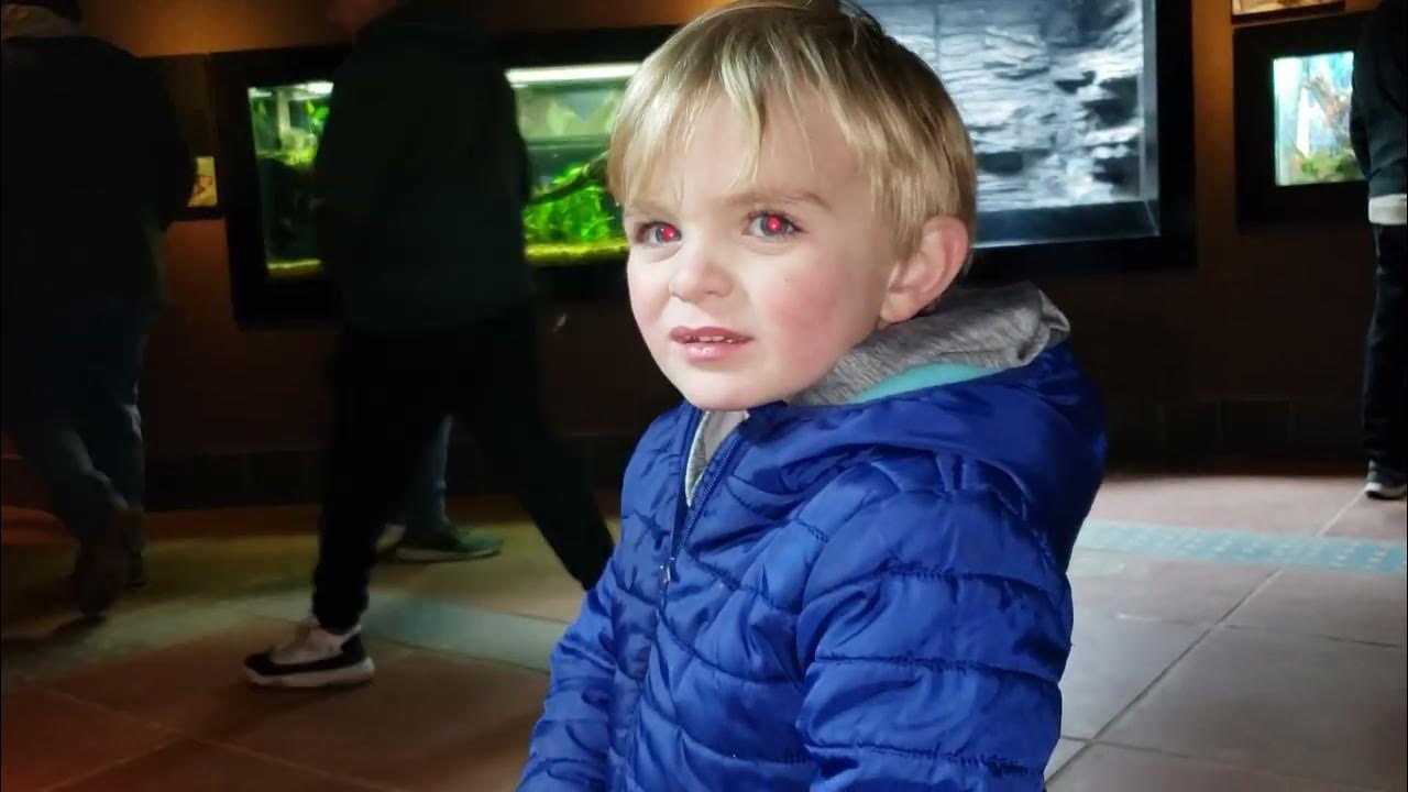 202301 dillon at the zoo. YouTube