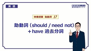 【高校　英語】　should/need not have done①　（7分）