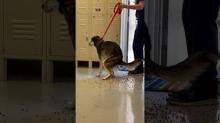 Havent Seen This Skittles Commercial Beforeshorts