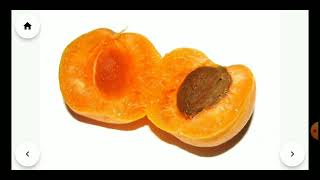 Frutas Kidstatic Apps 5