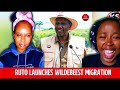ЁЯТеЁЯШВGEN Zs LAUGH AT RUTO AFTER HE LAUNCHED WILDEBEESTS MIGRATION 2025 ЁЯТеЁЯШВGEN Zs LAUGH AT RUTO AFTER HE LAUNCHED WILDEBEESTS MIGRATION 2025