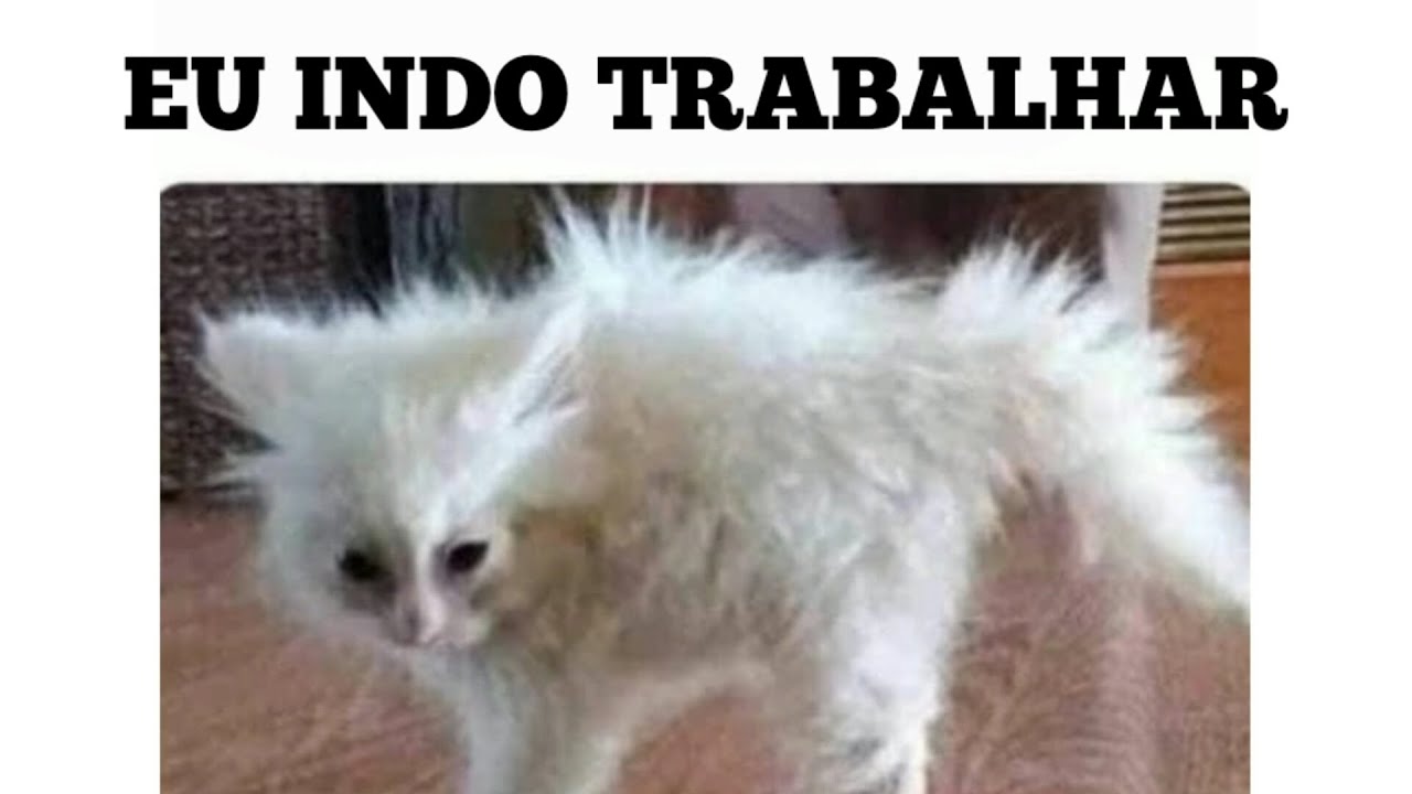 melhores-memes-em-imagens-eu-indo-trabalhar-youtube