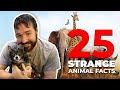 25 strange animal facts