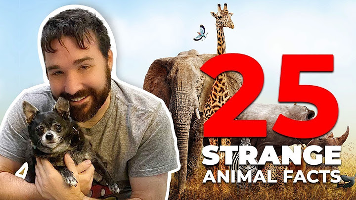 Top strange things about animal in the world năm 2024
