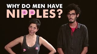 Why Do Men Have Nipples?