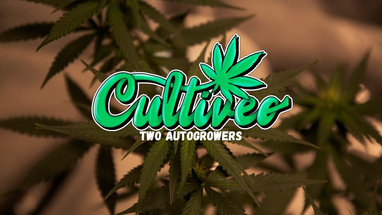CULTIVEO 12 TWO AUTOGROWERS
