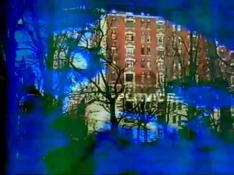 Watch OTESLA - GoldenLight on YouTube Watch OTESLA - GoldenLight on YouTube