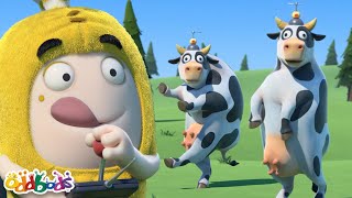 mind control 1 hour oddbods full episode compilation funny cartoons for kids