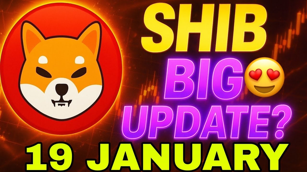 Shibainu Coin ( 19 january) Big Update 😍  Shib Coin New Update Today | Shibainu Crypto News