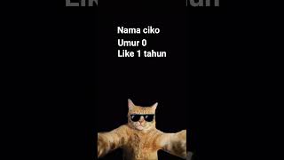 Download Lagu nama Ciko umur 0 like 1 tahun MP3