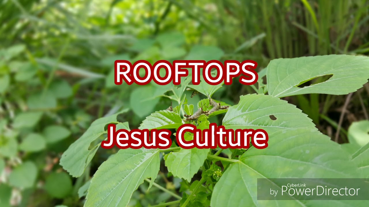 Rooftops Jesus Culture (Lyrics Video) YouTube