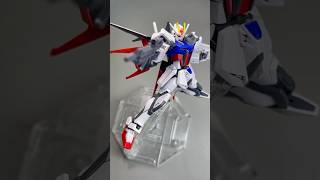 I Build Entry Grade Strike Gundam Freedom