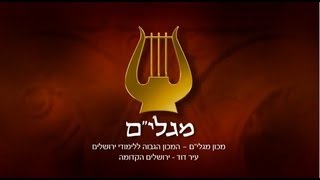 החומה הרחבה