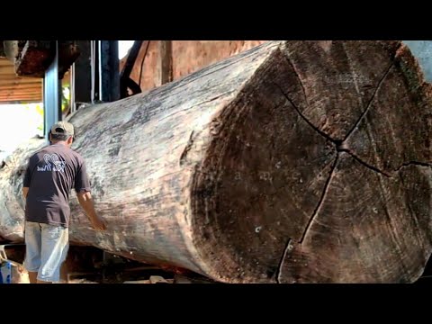 Black Teak Wood Sawmill Full of Beauty || Hardwood