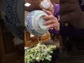 【うるおいてい 本店】最強のB級グルメかもなネぎネぎっていうほぼネギなお好み焼き　 静岡県/西富士宮