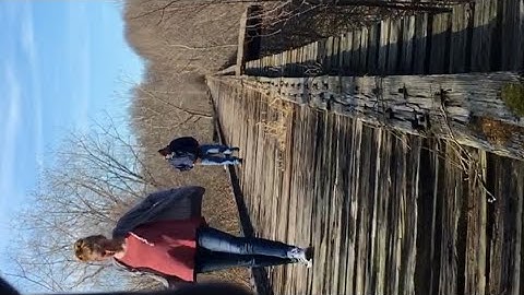 Delphi | Bridge Guy Video & Baldwin Calls Out Nick!