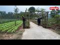 Completing the Handmade Bamboo Gate Frame with a 75-Year-Old Carpenter