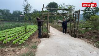Completing the Handmade Bamboo Gate Frame with a 75-Year-Old Carpenter