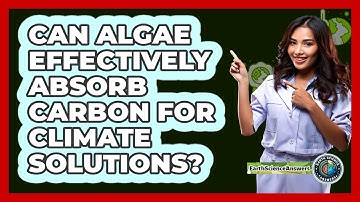 Can Algae Effectively Absorb Carbon For Climate Solutions? - Earth Science Answers