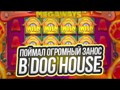 🟡 ЗАНОС в СОБАКАХ на 41К - Dog House НАСЫПАЛ с БОНУСКИ? | Dog House Megaways | The Dog House