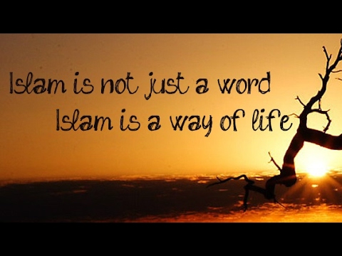 essay islam is a complete code of life