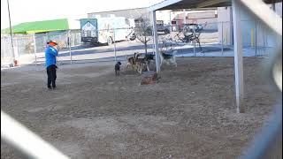 102732 video C 2 8 2026  BABY 102732 in playgroup