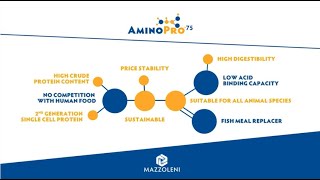 AminoPro™75, the updated version of Mazzoleni's Single Cell Protein.