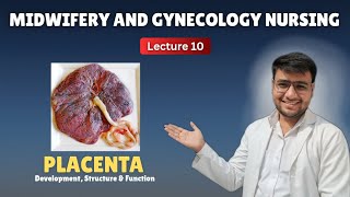 Placenta (Development, Structure &amp; Function) in hindi | OBG nursing lecture 10 | GNM 3rd year