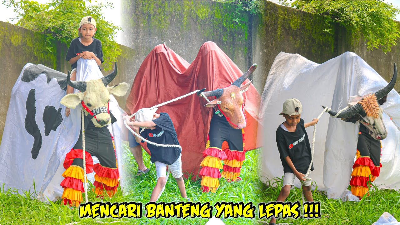 MENCARI BANTENG YANG LEPAS 😲🐄 
