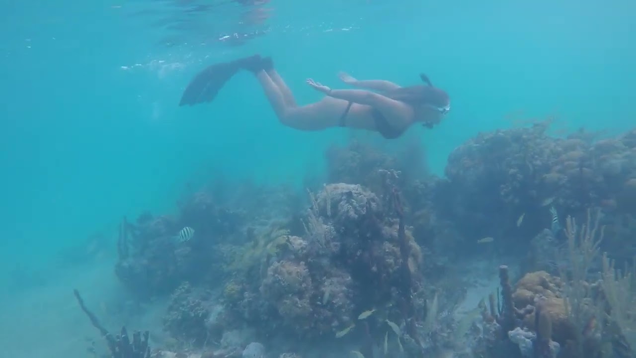 Abaco Snorkeling 2022