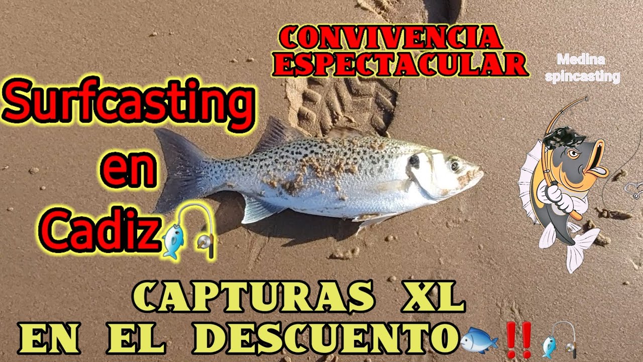 SURFCASTING EN CADIZ🐟‼️Convivencia espectacular y capturas XL 🐟‼️al final de la jornada 🌊🎣🐟‼️‼️