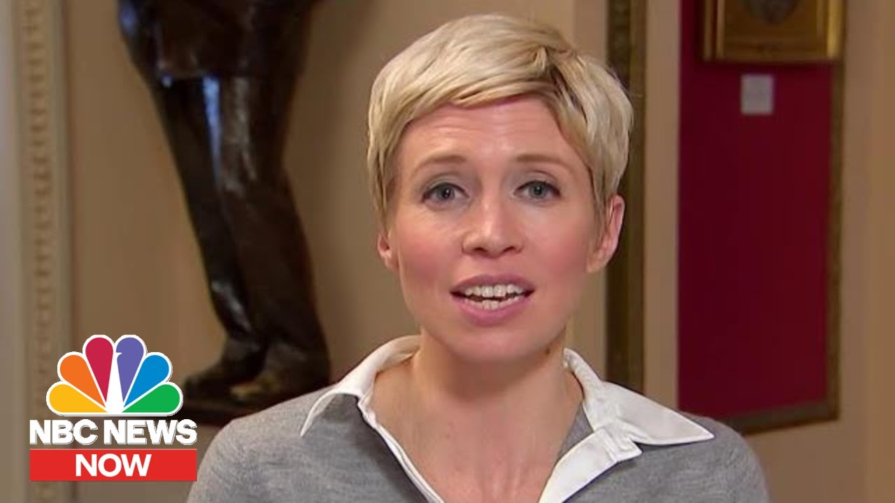 Why Americans Are Still Split On Impeachment After Public Hearings | NBC News Now