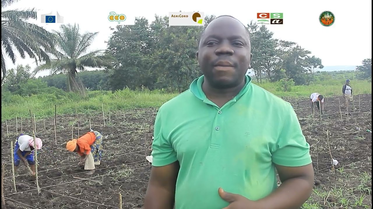 Le site de Ighaviro installe son deuxième champ école dans le cadre du projet FORI