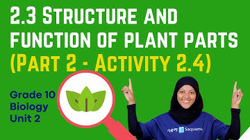 Grade 10 Unit 2: 2.3 Structure and Function of Plants (Part 2-Activity 2.4)