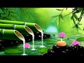 Relaxing music 🎵 Sleep Music 💤 Stress relief Music, Spa, Meditation, Yoga, sleeping music 🎶 image