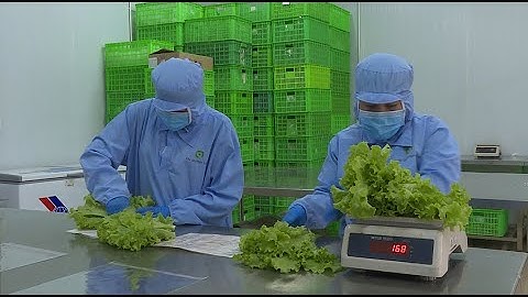 Phát triển nông nghiệp hữu cơ bền vững tại Lâm Đồng