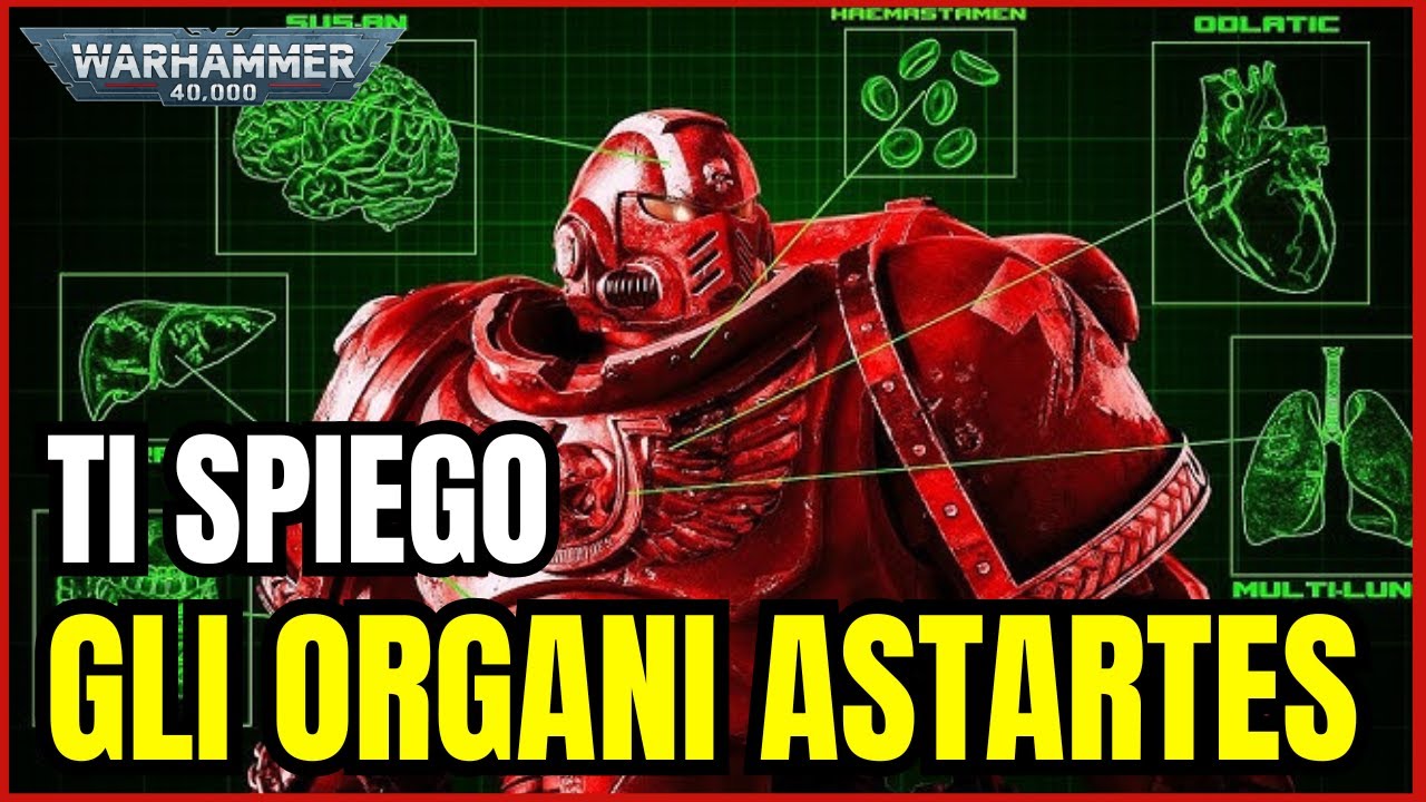 TUTTI gli Organi degli Space Marines Spiegati – Guida Completa |  Warhammer 40K Lore ITA