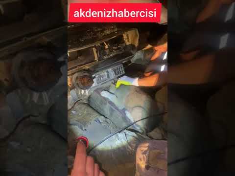 Hayvansever Muhtar yavru