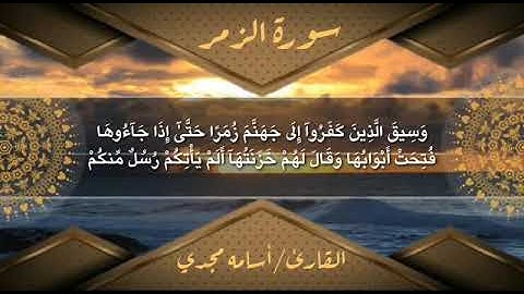تلاوه من سورة الزمر للقارئ/أسامه مجدي صوت خاشع وتلاوه فريده ❤️‍🔥🌺
