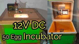 How to make DC incubator || বেটাৰী ইনকৱেতৰ কেনেকৈ বনাব || SG Rangpur