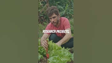 Urban Soil Science: Get Involved! | #ScienceFather #researchawards #soil #science