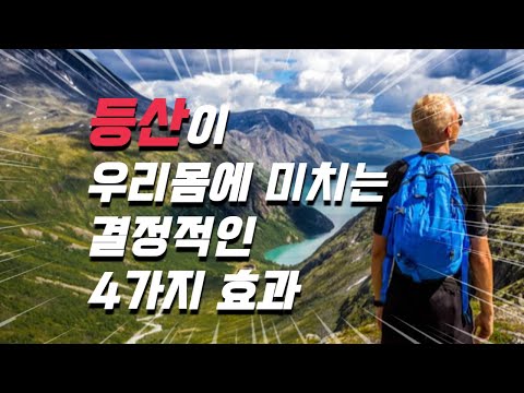 잊기 쉬운 등산의 4가지 효과