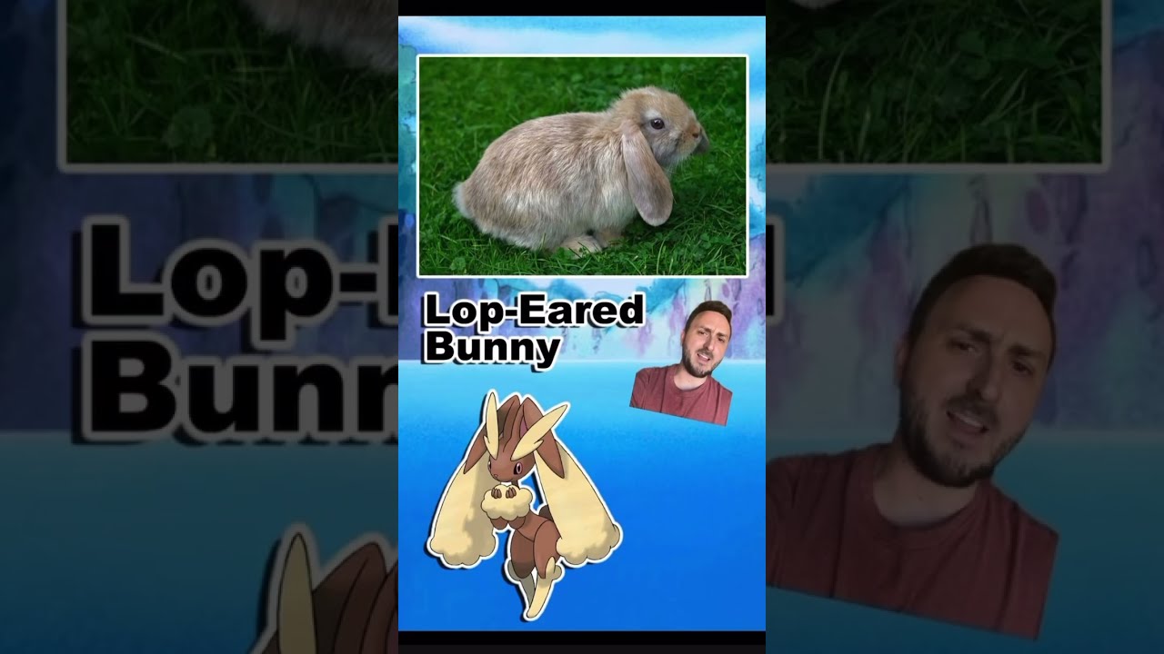 Pok Mon Names You Might Be Saying Wrong