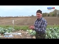 Под ногами крымчан проваливается земля: что произошло в селе Красногвардейского района?