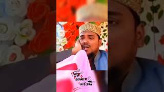 পীরজাদা আব্বাস সিদ্দিকী ভাইজান ওয়াজ | মাহফিল pirjada Abbas Siddiqui#ভাইজান#waz  Arif Gojol Studio